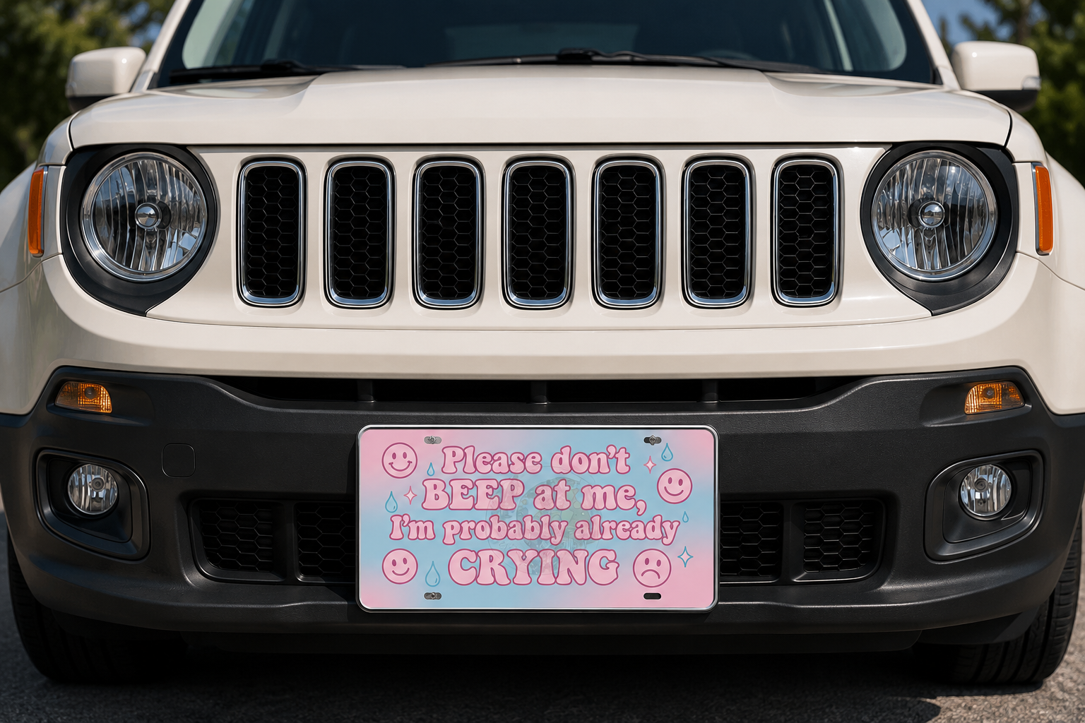 Probably Already Crying Vanity Plate