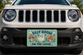 Silly Goose Vanity Plate