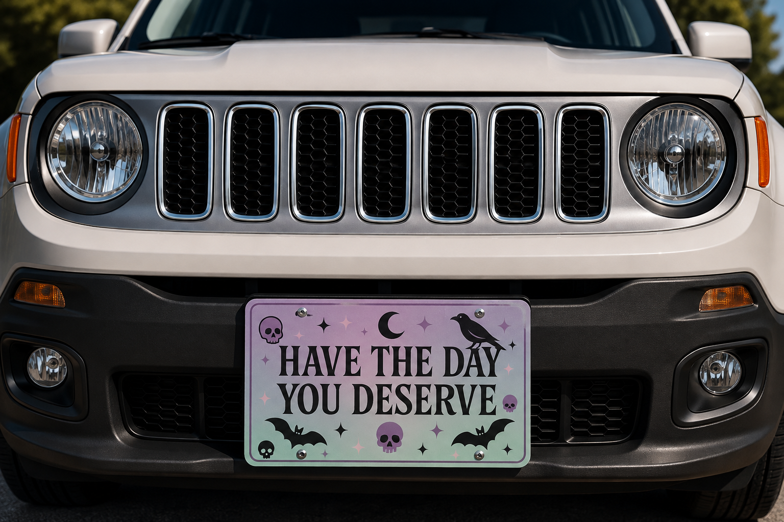 Have the day you Deserve Vanity Plate